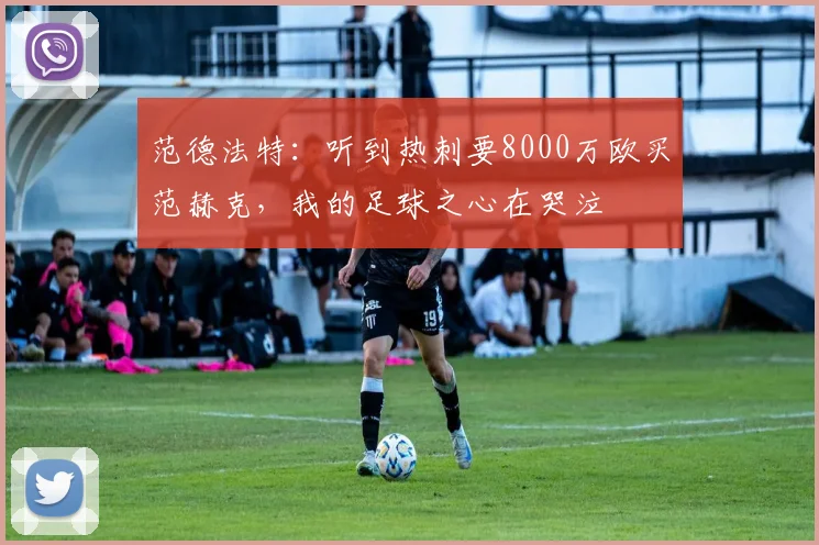 范德法特:听到热刺要8000万欧买范赫克,我的足球之心在哭泣