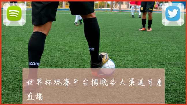 世界杯观赛平台揭晓各大渠道可看直播