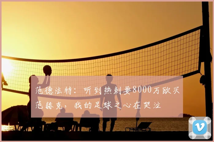 范德法特:听到热刺要8000万欧买范赫克,我的足球之心在哭泣