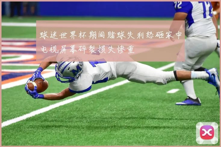 球迷世界杯期间赌球失利怒砸家中电视屏幕碎裂损失惨重