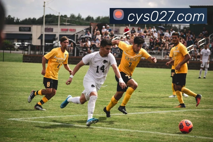 米兰app官网入口品牌故事